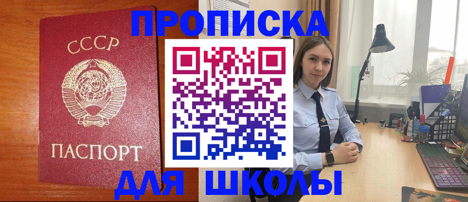 временная регистрация 2025 в Палласовке